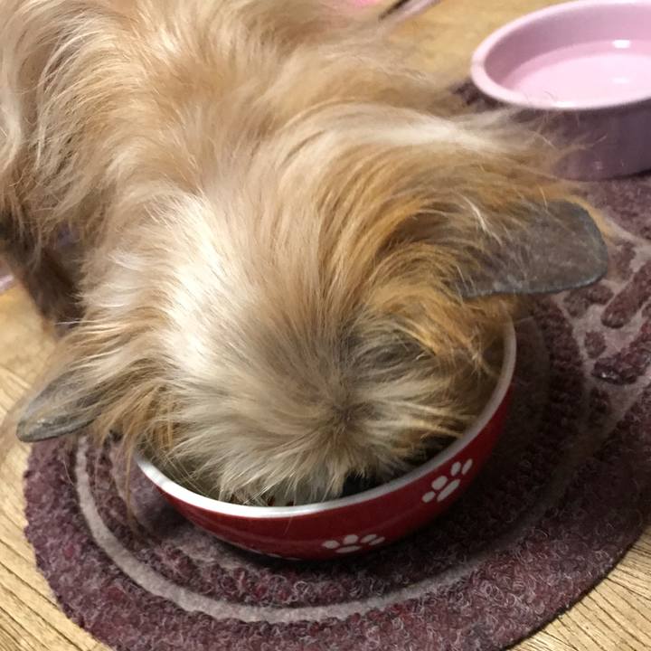 B4d1ab72 81ba 4313 aa6c fe229e5c4b9e 1550052576841