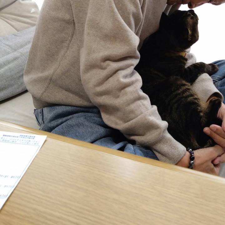 B4d1beb7 9ddb 4b2e b07f 2a6f9aff6034 1771300793147