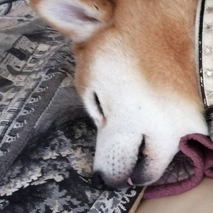 B4d1e210 f776 46b6 9294 0774478c8d11 1598943204348