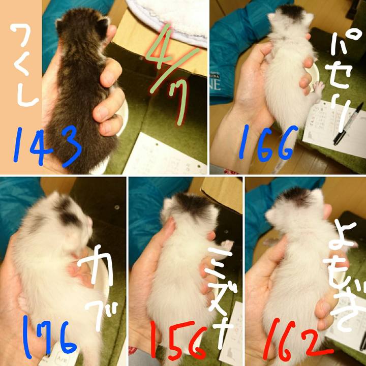 B4d2044a f8e6 42bb b66b c2051201578c 1586505585763