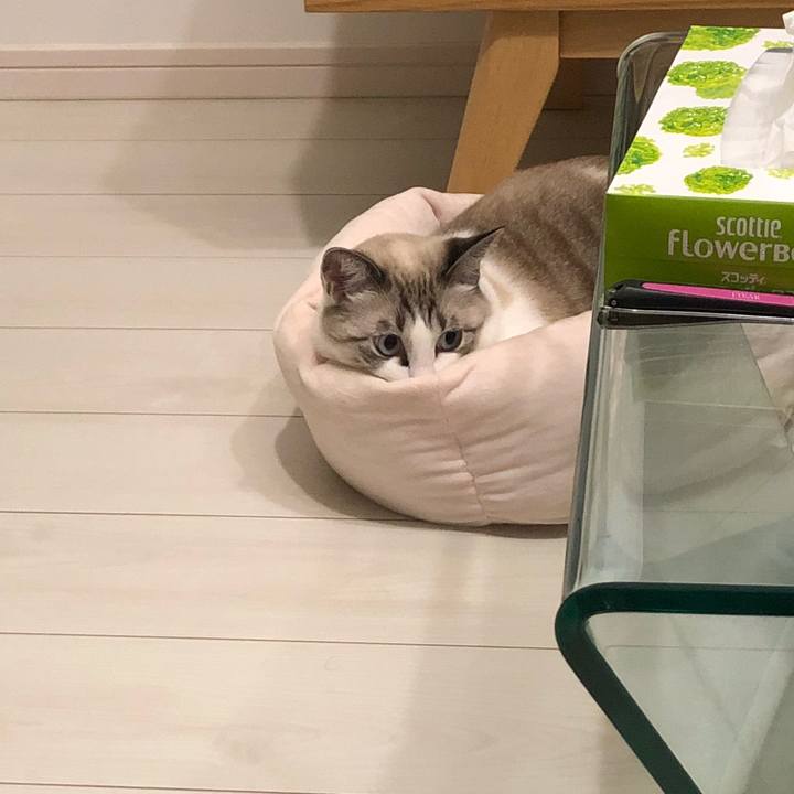 B4d20b82 fa37 4478 97ae c56c4f91f458 1542551299003