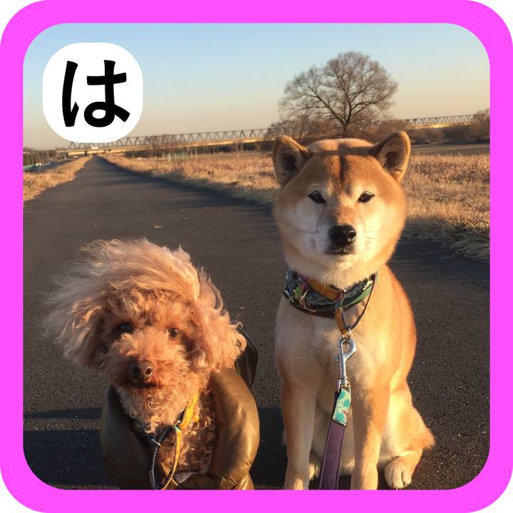 B4d23eb1 cd8e 49bf ae81 a1cd52c683b8 1515228735638