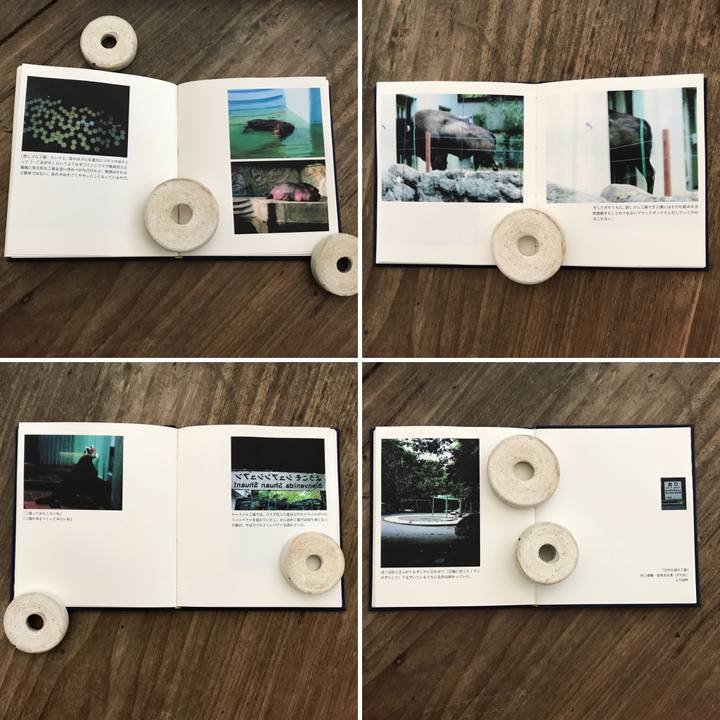 B4d262c6 ec29 4ed1 aa01 3401a8d71631 1536544419102