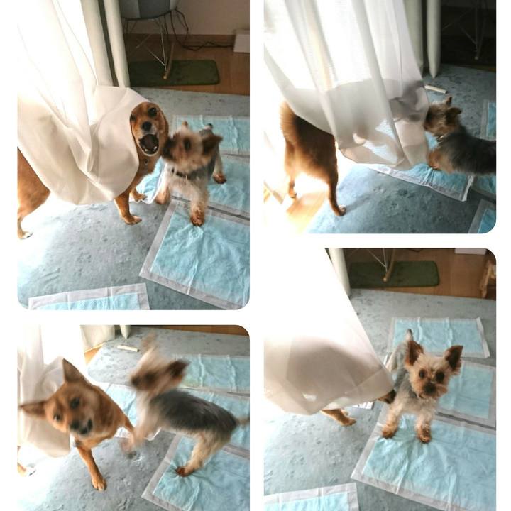 B4d26d15 6e13 4e77 b52c aaeb2b8f42f7 1517708530414