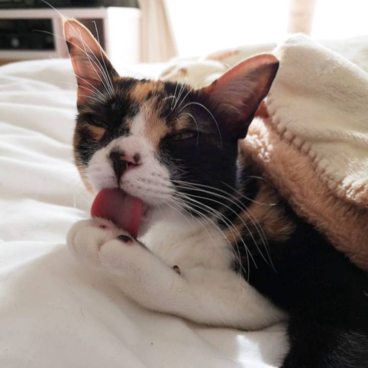 B4d2949b 860b 48ab 987e fd88ce7cde71 1611044494895