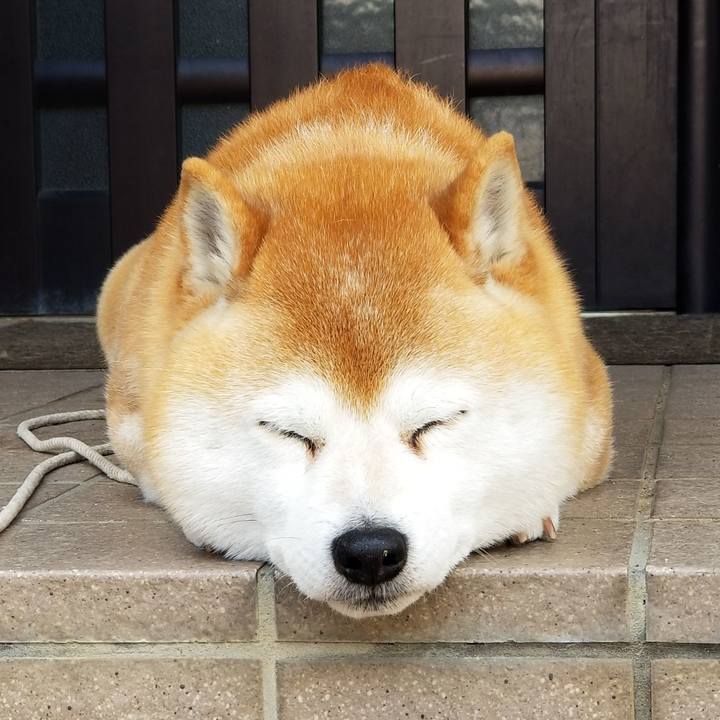 B4d2ebaa 36b9 43a6 8957 e0f0a41293de 1650327048209