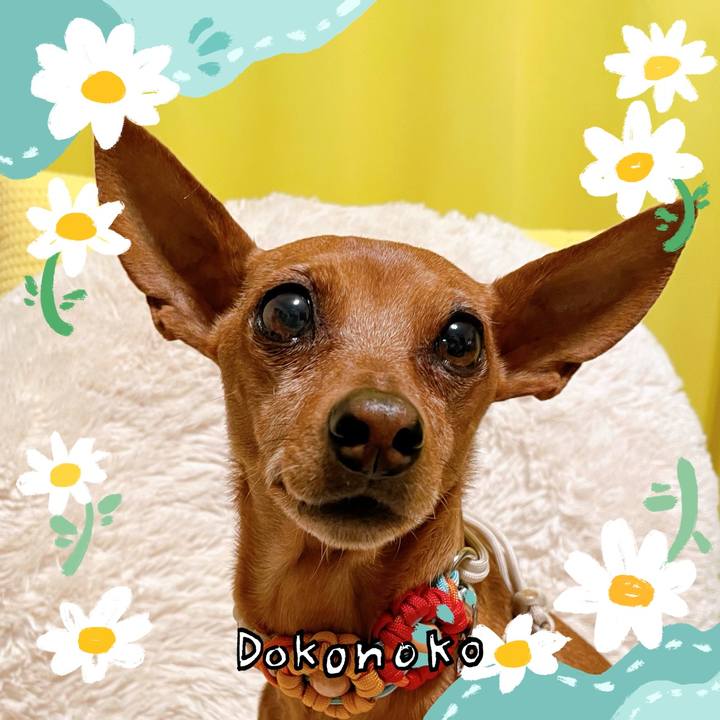 B4d3106d 0ef3 4249 8050 ba1756ccccf5 1712259534146