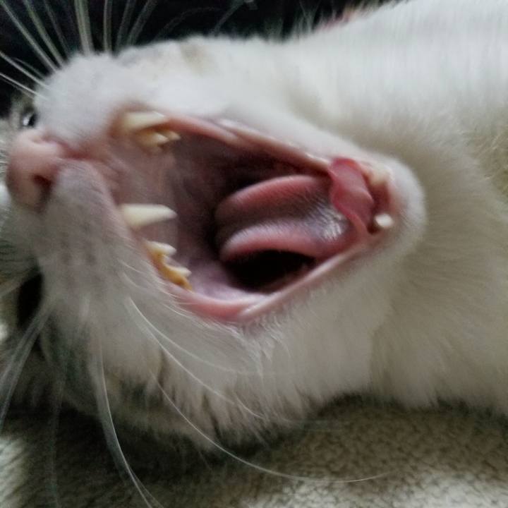 B4d31202 ffb3 49ea 8e72 9397baaff126 1517658277895