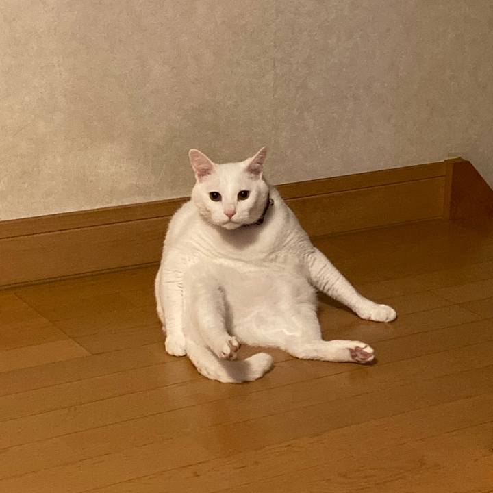 B4d31ba5 678b 4ea1 af93 83411e305187 1651835883982