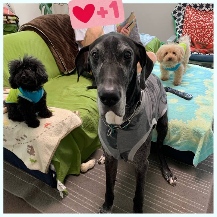 B4d335ca 0dac 4df1 8c4f c68baac355b6 1588802902211