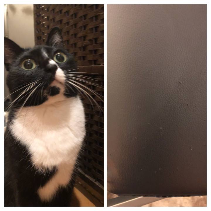 B4d343b6 350e 4405 91e0 50e7a3181b53 1510782416709