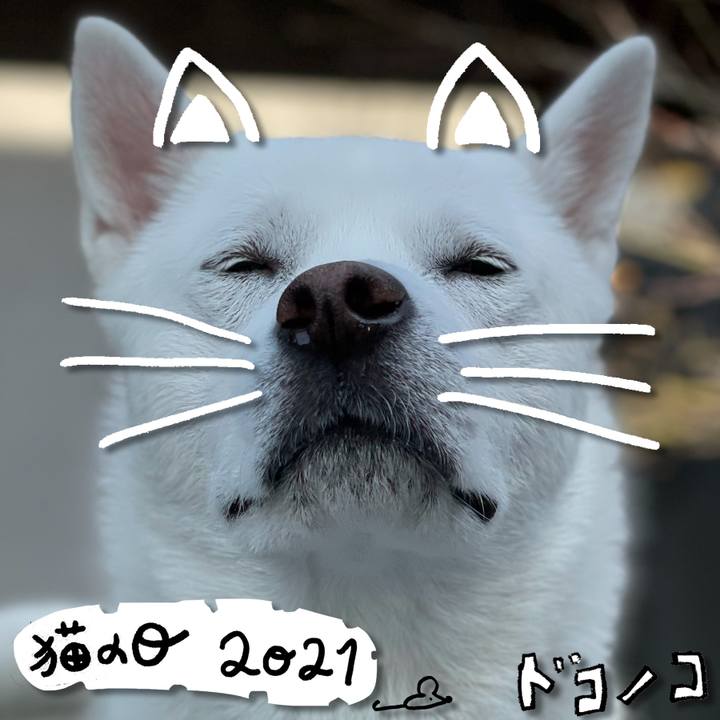 B4d39b6e 854a 4167 bb7c e2c1e670fa8c 1613992832602