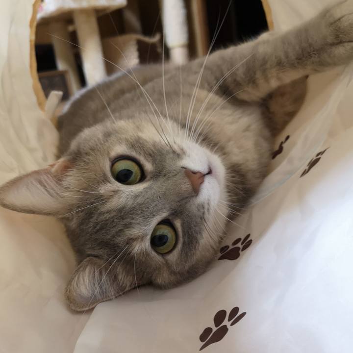 B4d4015d 1ce2 462e 8620 e3a8ec72c10b 1571495796907