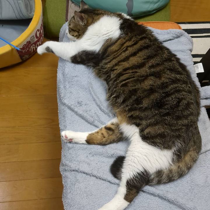 B4d42c4a abdf 4650 8c61 8c9c9f1fc96e 1669773029949