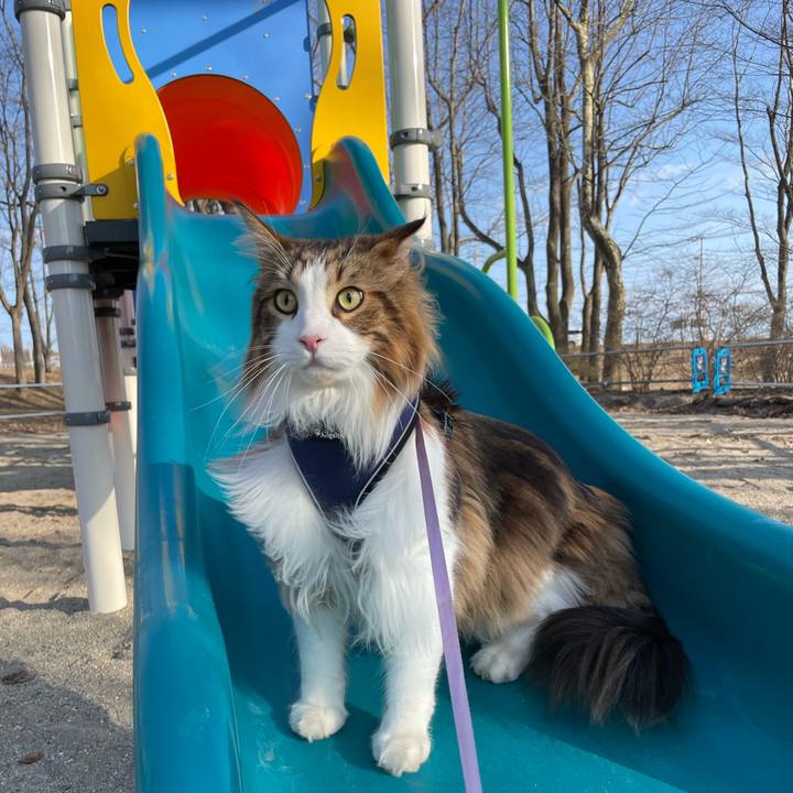 B4d4447e f429 4c91 94d0 f1623e9342d7 1679384974403