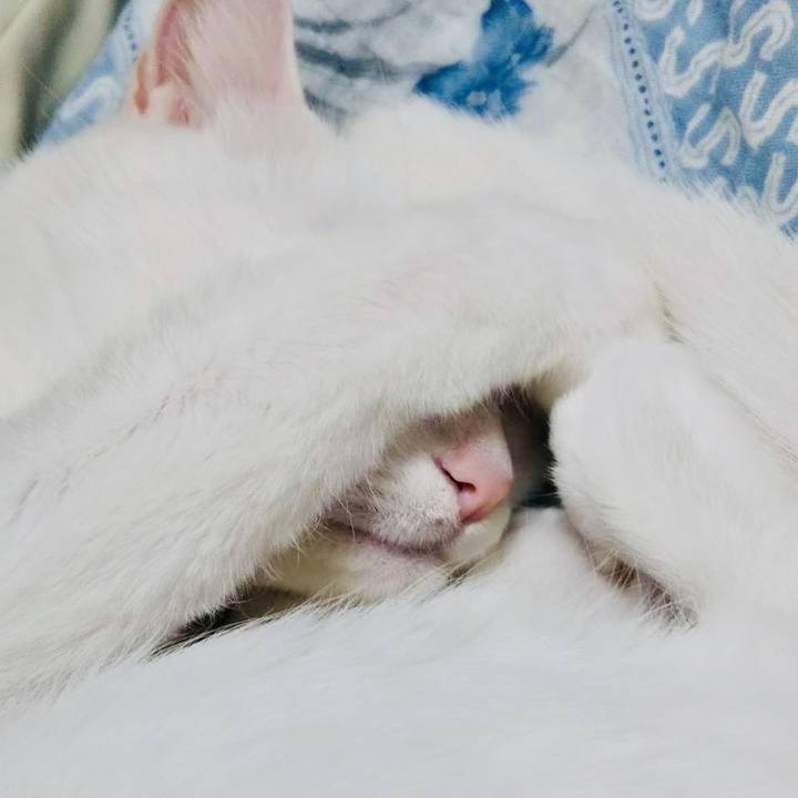 B4d44764 9c31 427b 89f0 cb40bee69c53 1745660540866