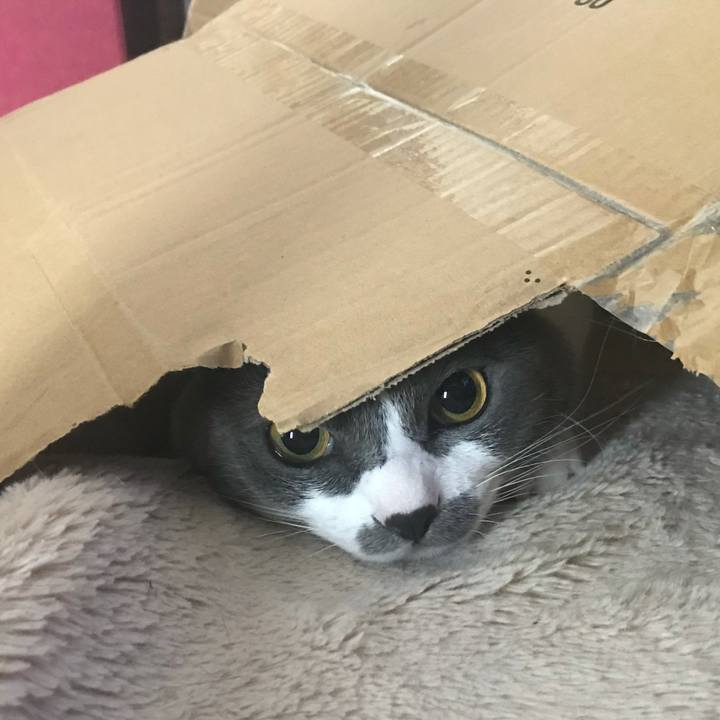 B4d447e6 2395 43f5 9566 510f757499db 1625305590477