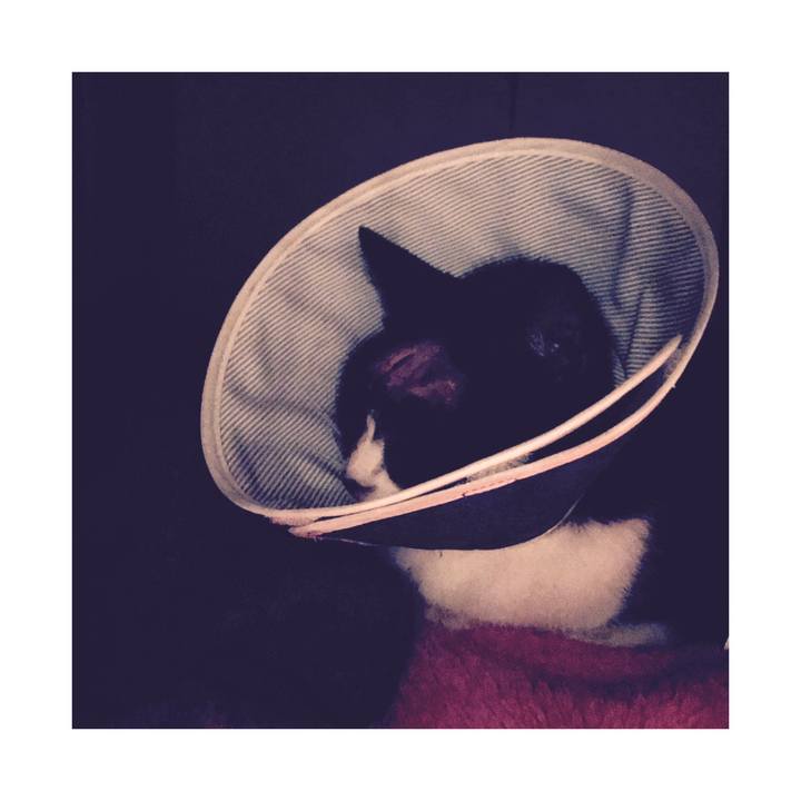 B4d44bbe f1af 4653 a510 96bed137f5cb 1578911760707