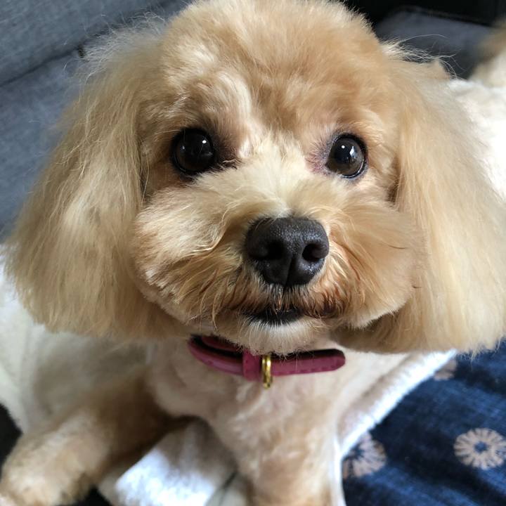 B4d47125 5960 4684 a090 f00e51ccbef3 1661572108867