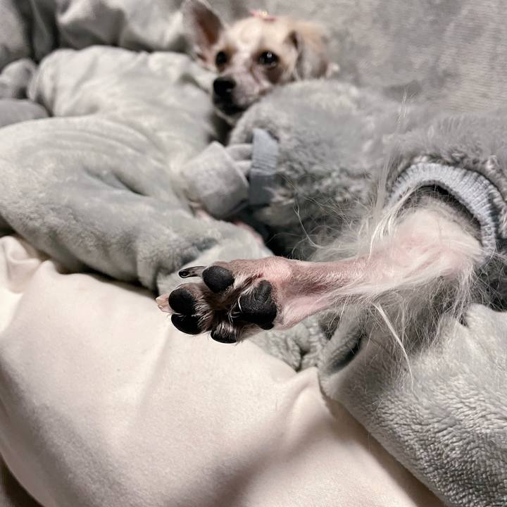 B4d4738a 1140 4399 b6a3 a4c19d26661a 1768041290729