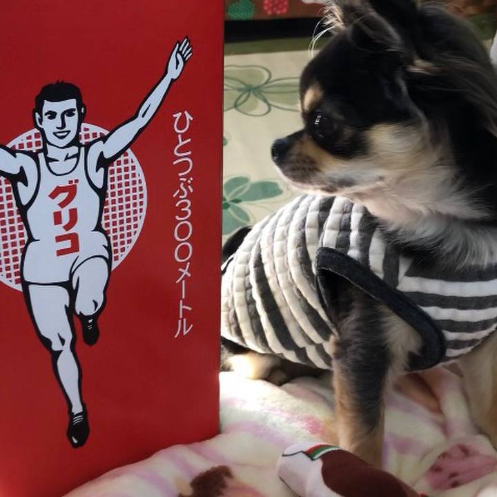 B4d48018 bbcc 4835 8acf f1f63d661418 1573599351216