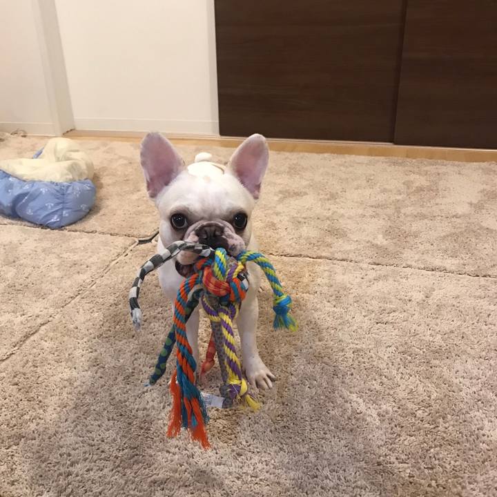 B4d48960 bb39 4542 8636 52db60468b06 1540985554041