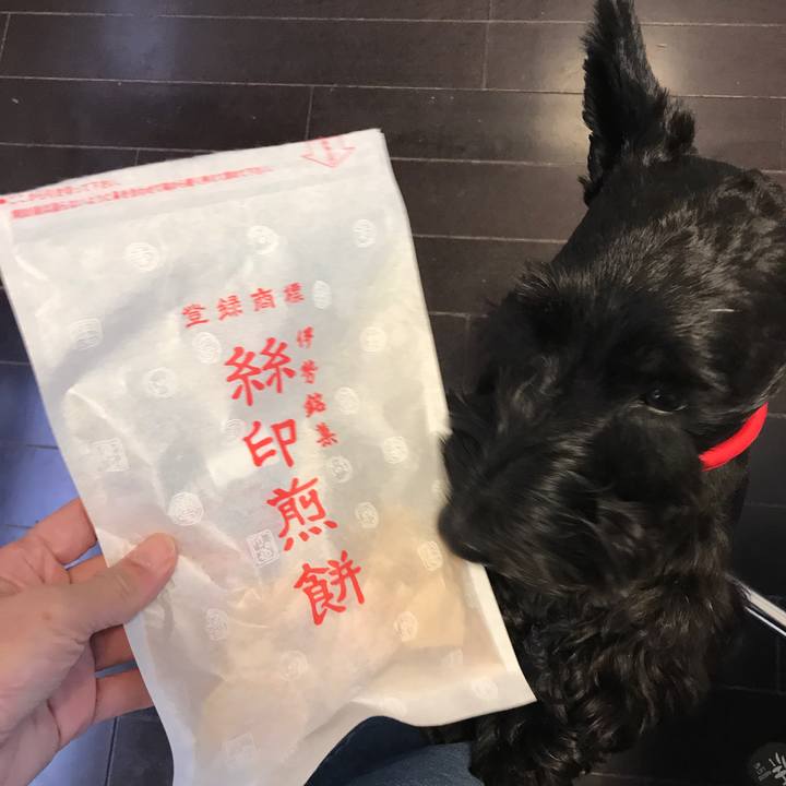 B4d48f80 fd72 45b1 a9fd 7a1eecb959b4 1551230708910