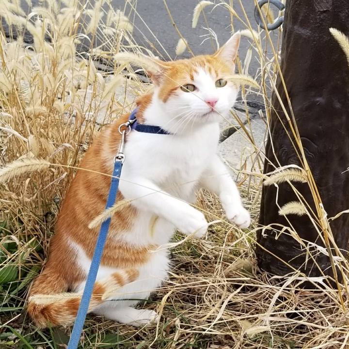 B4d49809 8b63 49d7 aafb 5f485b3e8ee8 1515395500800