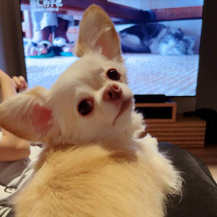 B4d4aa20 2a62 416b b8fd d292125a0aeb 1695730156795