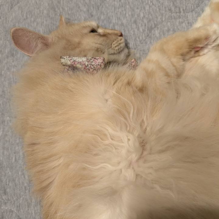 B4d4b79f fda8 40e1 86aa 5be42a868547 1758113904722