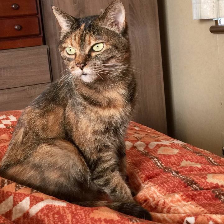 B4d4beff 3348 4826 bb2e 6594a6032139 1518588898663