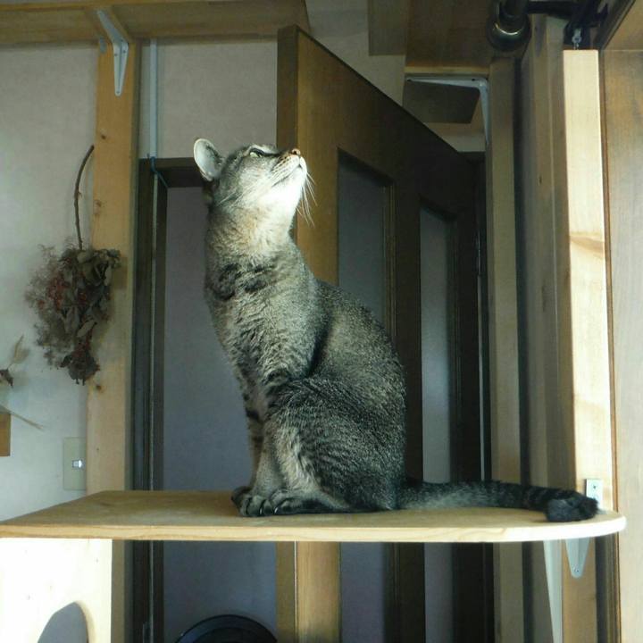 B4d503d2 a51a 4022 a64d 6c63cbcfffda 1569371471933