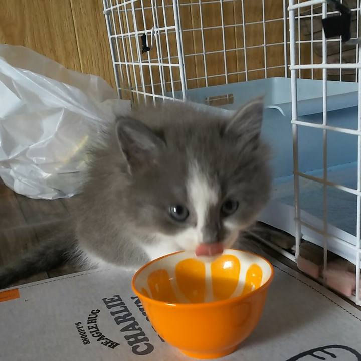 B4d529fd f2bc 4a24 8aea f7bc13ee4bee 1559087575405