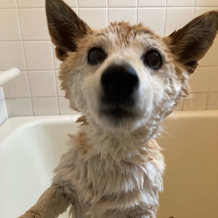 B4d53a05 5be2 400f ac8a b7dd15502cab 1621824575141