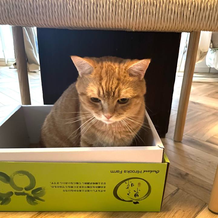 B4d53ac8 e48c 41f9 89d7 f6b6ffe9c703 1759764264574