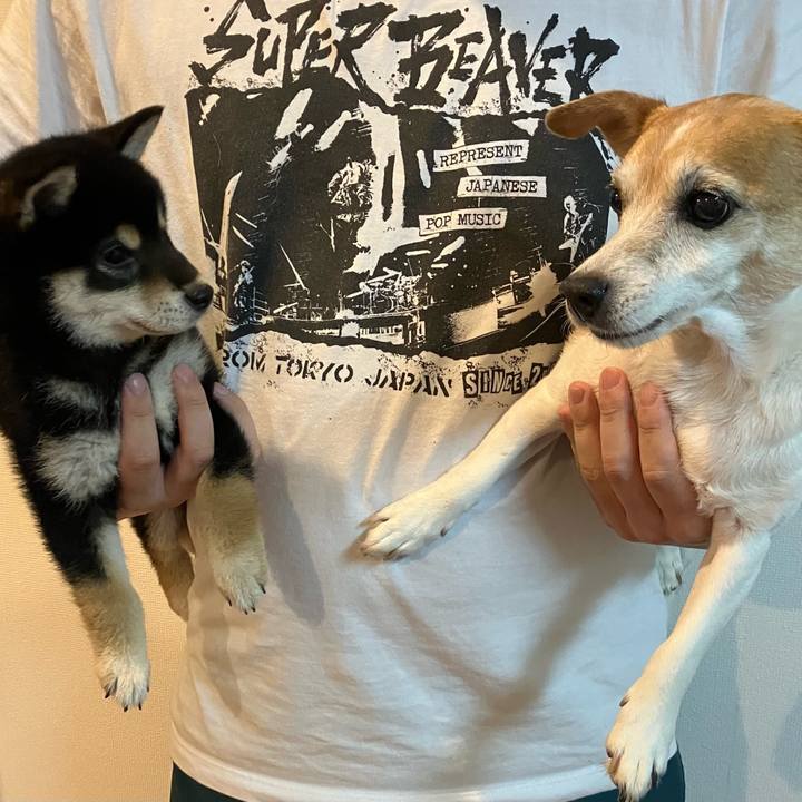 B4d53f29 755c 4426 9225 aba6a0bd81fc 1775470986641