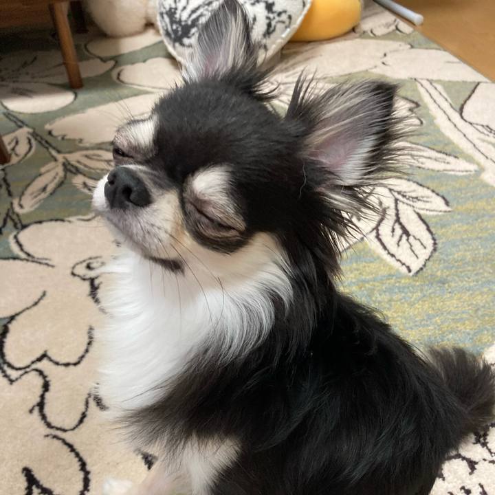 B4d56832 2b95 4dea 9929 a4291544ffbe 1625375595660