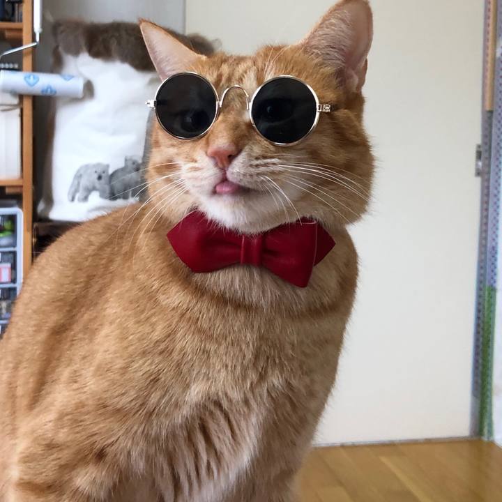 B4d56d2c b679 471a b398 8b817295ea40 1579914649076