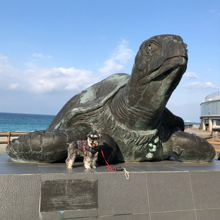 B4d59730 0019 4106 be07 0bb64abaf7cf 1613037131086