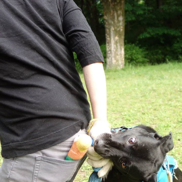 B4d59e0d 09eb 438a 8323 04b89ff671d6 1620521736226