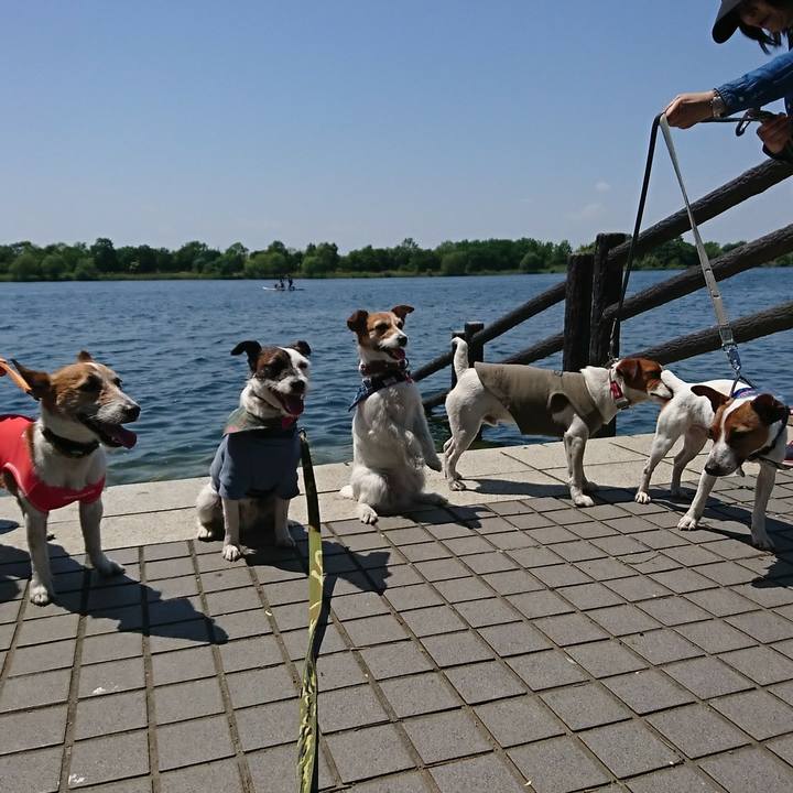 B4d5ab8d b868 4c4f bbff 02657eba80fb 1525506325849