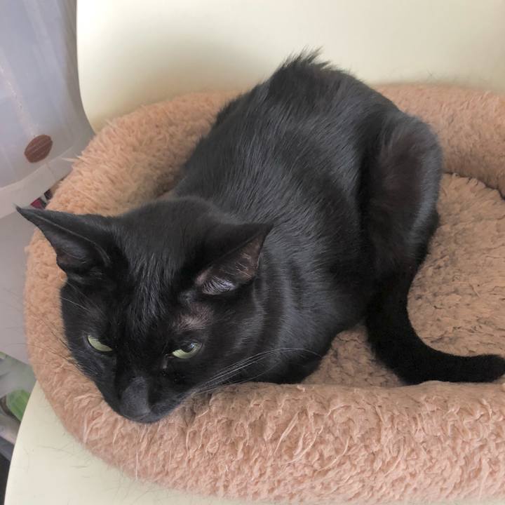 B4d5b252 95e4 43f0 a870 dc395d07408b 1630931641888