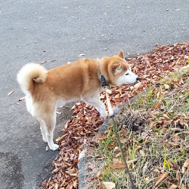 B4d5d39f ef46 428f 91a0 baf06bd89380 1668409237948