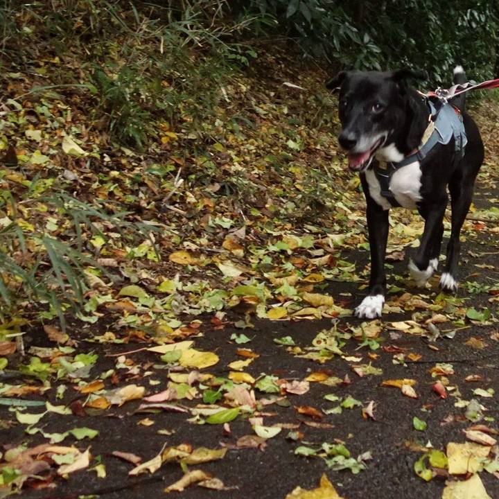 B4d5ef78 fdc6 4680 a7ff 2bb6ce4b2b43 1731887502818