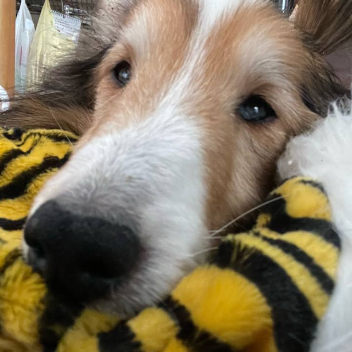 B4d5f0aa e3b9 4fd6 bb8b 3c271eaa7a48 1642852114210