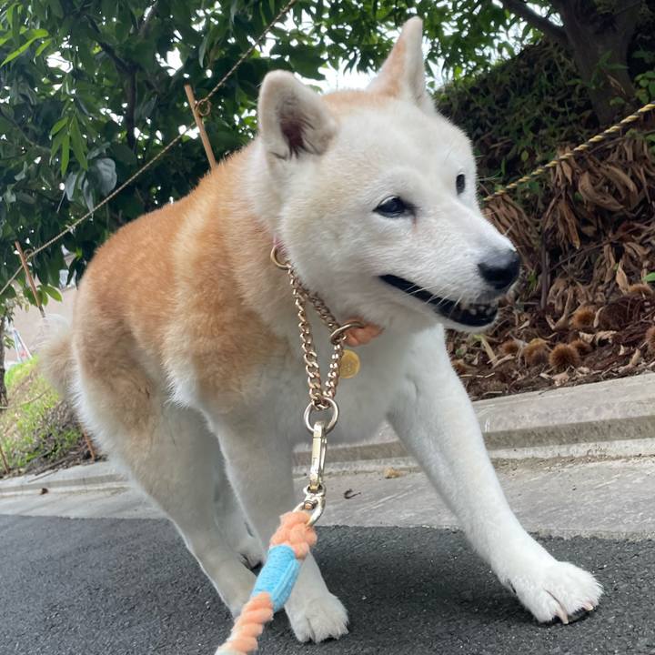 B4d648cc 8eaf 43af 88c8 e61e340b657e 1692313264363