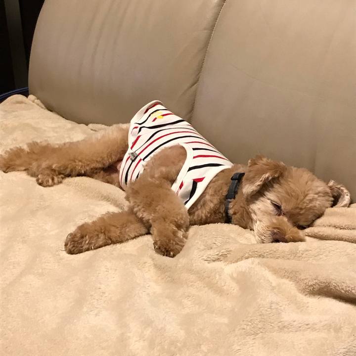 B4d65112 a61a 465d acab 8bc4f61b4128 1525923855179