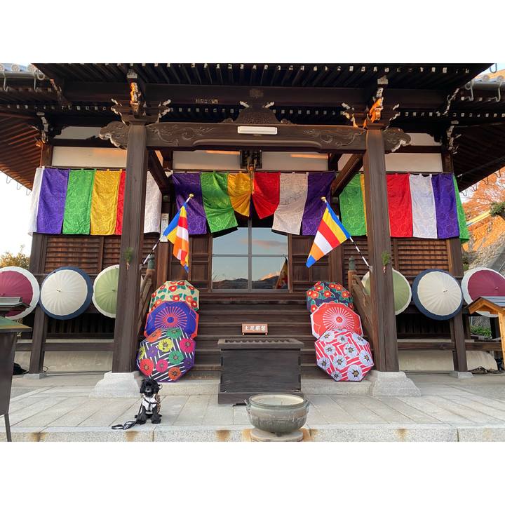 B4d66975 6dc1 4ff8 82f6 fee3e36c5266 1641210939800