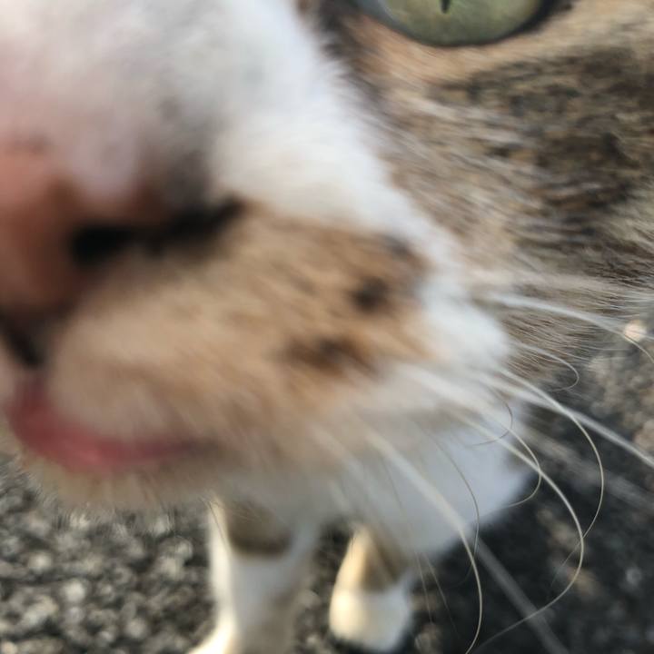 B4d66b6c 691f 471e 8418 bc3ec35de7a0 1546656619920