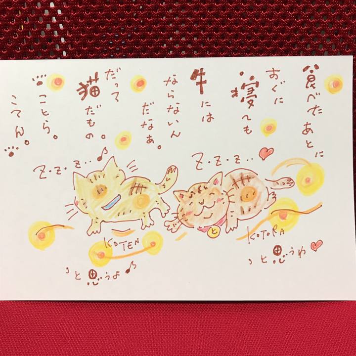 B4d670bf 282b 4ac2 b067 44b74313cb05 1554741709137